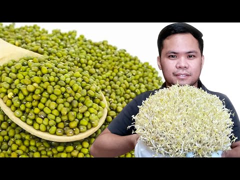 Video: 3 Mga Paraan Upang Gumawa ng Vanilla Extract