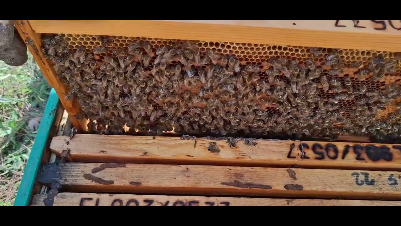 25 Οκτωβρίου 2025