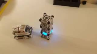 Cozmo laughing after knocking the stacked blocks