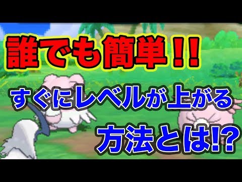 ポケモンサンムーン なつき度確認