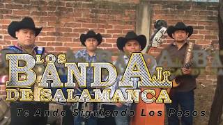 Te Ando Siguiendo Los Pasos (LIVE) HERMANOS BANDA ft  Los Banda Jr De Salamanca
