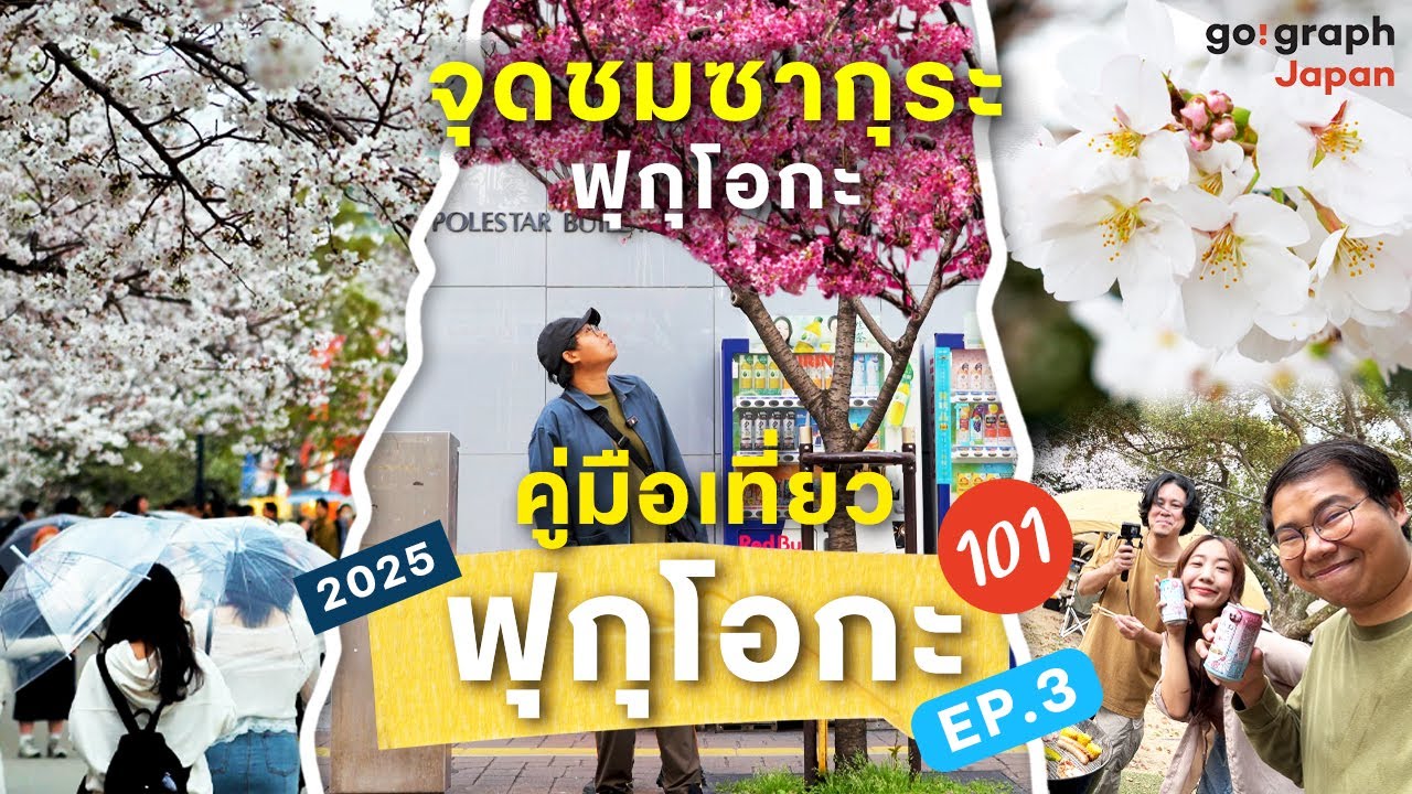 เที่ยวฟุกุโอกะ Fukuoka Ep 3 จุดชมซากุระ 10 แห่งทั่วฟุกุโอกะ ปิ้งบาบีคิว ท่ามกลางสวนซากุระ
