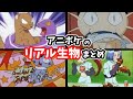 アニポケに出てきたリアル生物・動物8選