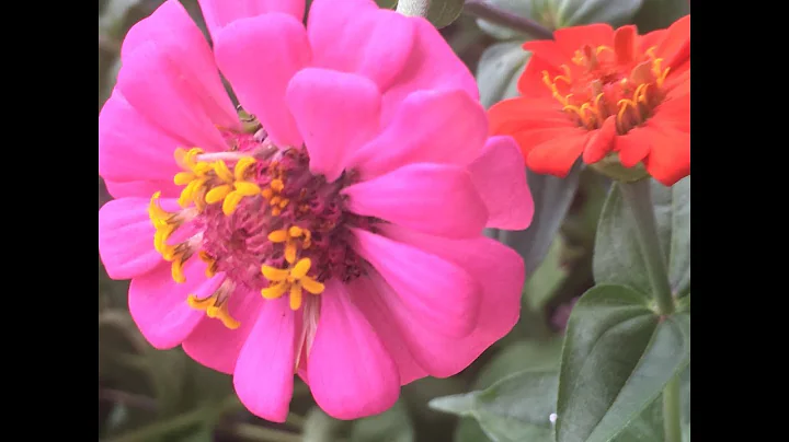 In Memory Of Bernice Evans From The Gardens at St ...