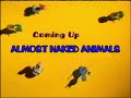 Boomerang from Cartoon Network Next Bumper: Almost Naked Animals (2011-2015) [FANMADE]