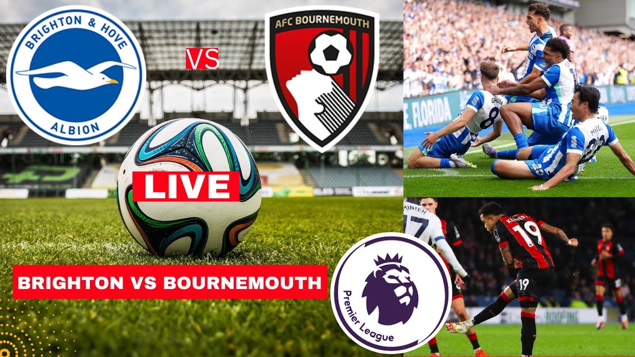 Brighton vs Bournemouth Live Stream Premier League EPL Football Match Score Commentary Highlights FC