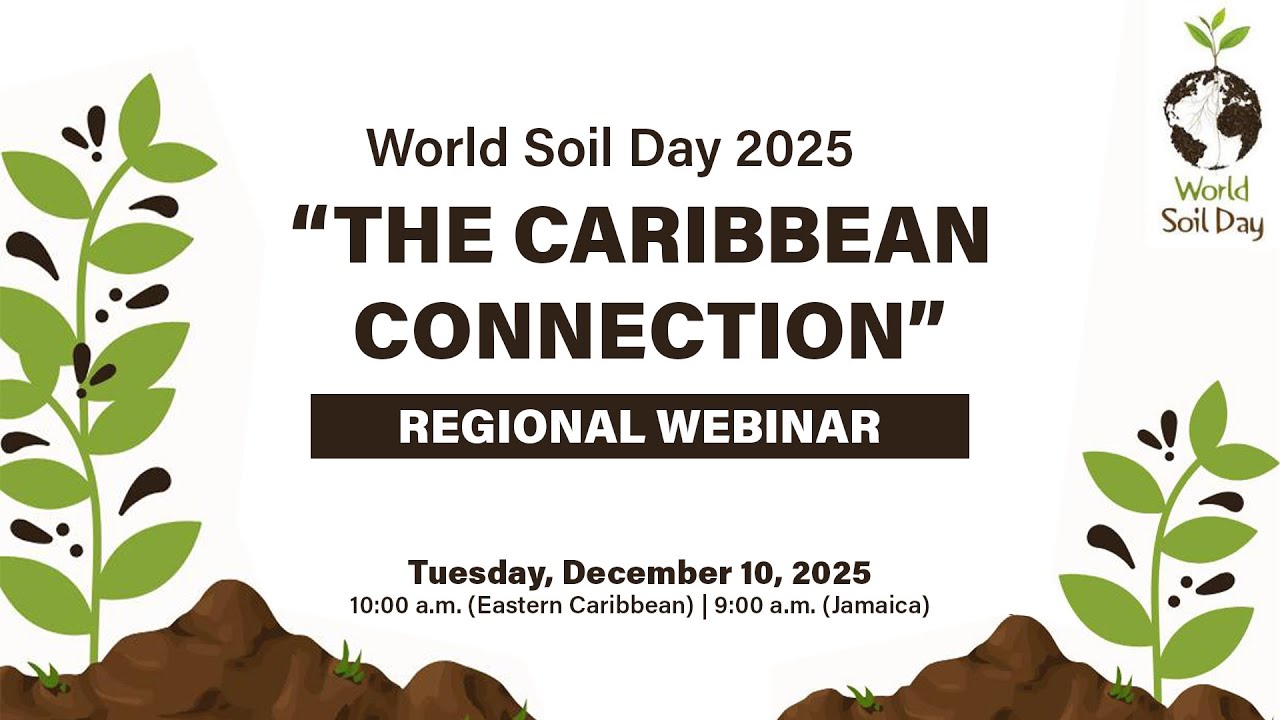 The Caribbean Connection - World Soil Day 2025