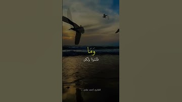 #المصحف #تلاوة_خاشعة #راحة_نفسية #اكسبلور #لايك #تيك_توك #القارئ_احمد_علام #allam_quren #حالات_واتس
