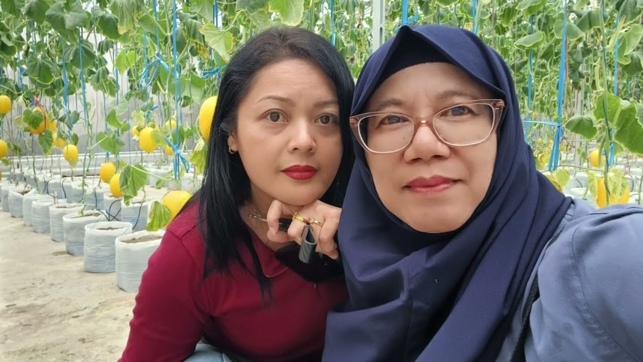 20 Februari 2026 kompilasi foto dan video