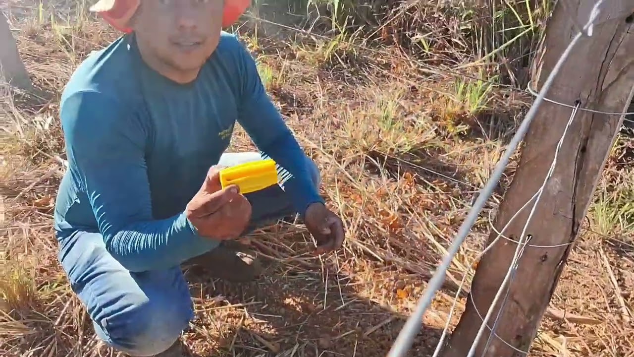 Instalação de cerca elétrica rural para catitu.
