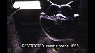 RESTRICTED conditioning 1990 poppy playtime