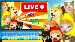 LIVE: HAPPY CAT FUNNY | BANANA CAT AND FRIENDS 3