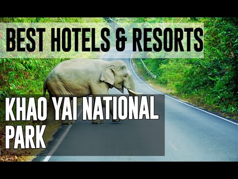 Best Hotels and Resorts in Khao Yai National Park, Thailand