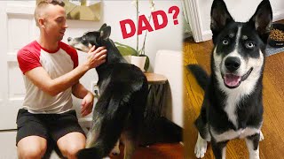 Shadow Meets His New Family *emotional*