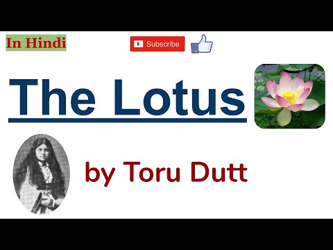 Video: Welke bloem is de koningin van het gedicht de lotus?