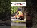 田舎道が生まれ変わる瞬間!プロの技に感動! #道路整備 #ショベルカー作業 #DIY土木 #職人の技 #インフラの裏側