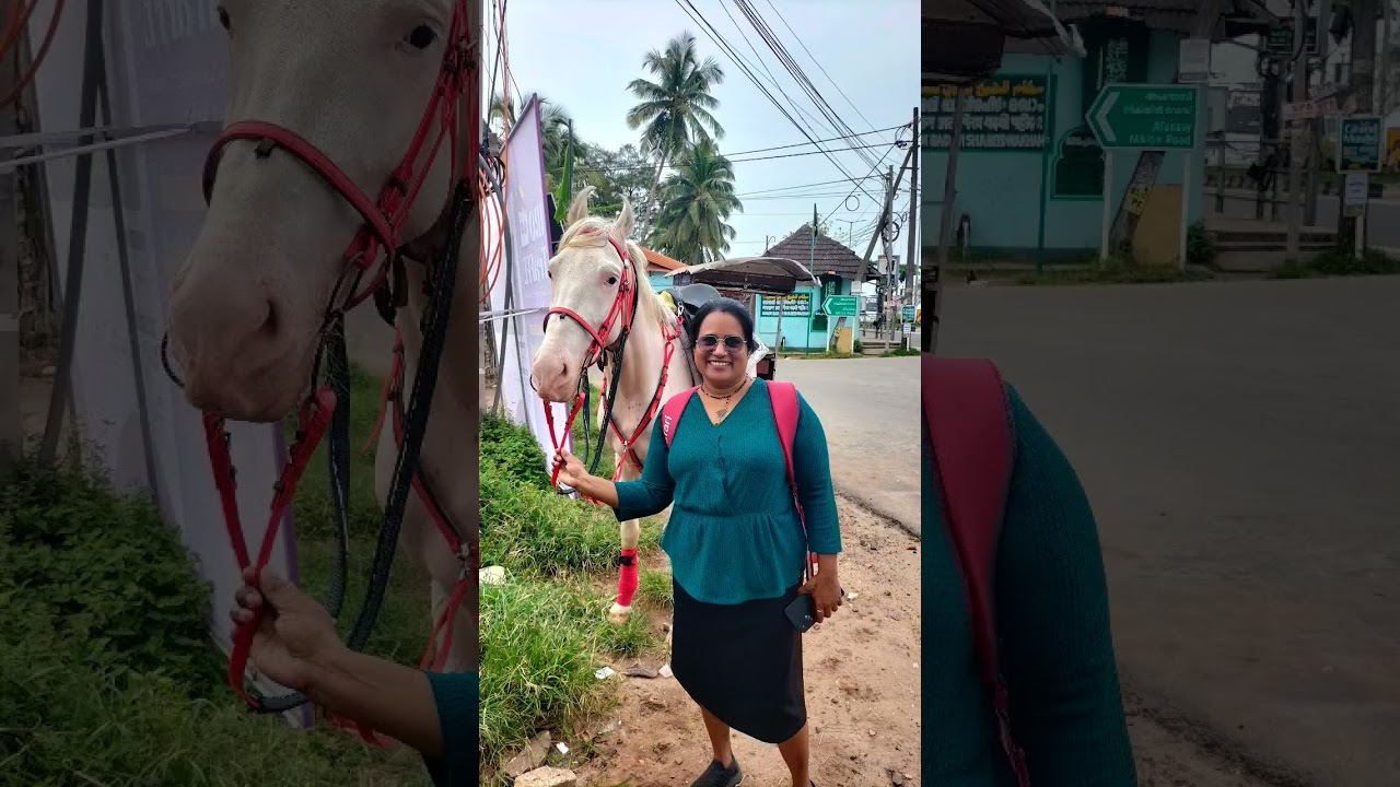 thomasukutty vitoda🏃🏃🏃🏃🏃