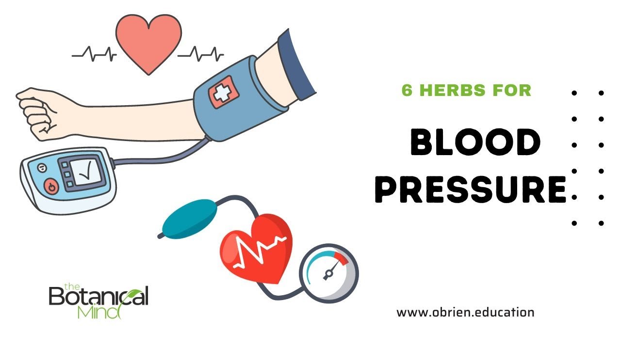 6 Herbs for High Blood Pressure bloodpressure YouTube