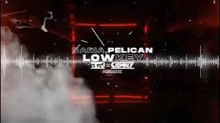 DARIA x PELICAN - LOWKEY (Ciemny x Tetu Remix) 2022