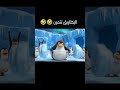 بطاريق تتمرن Penguins اكسبلور Veo3 Funny Ai ضحك Memes كرتون Penguin بطاريق تتمرن Penguins اكسبلور Veo3 Funny Ai ضحك Memes كرتون Penguin