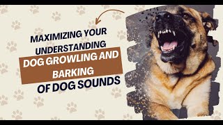Maximizing Your Understanding Of Dog Growling And Barking Sounds