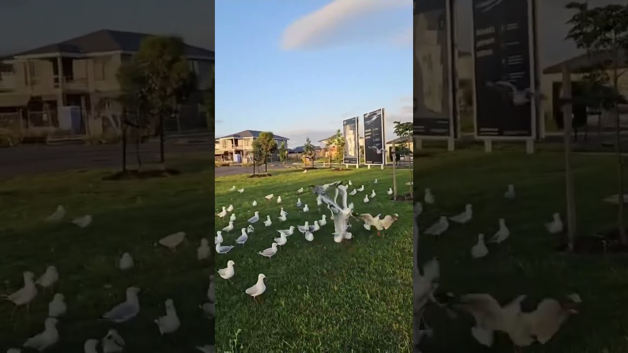 Life’s beautiful ✨ 