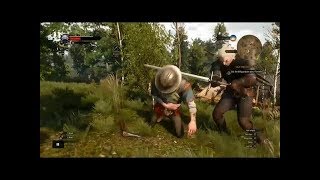 The Witcher 3 - How to do Finisher Executions - Execution Finishers - Finishing Moves