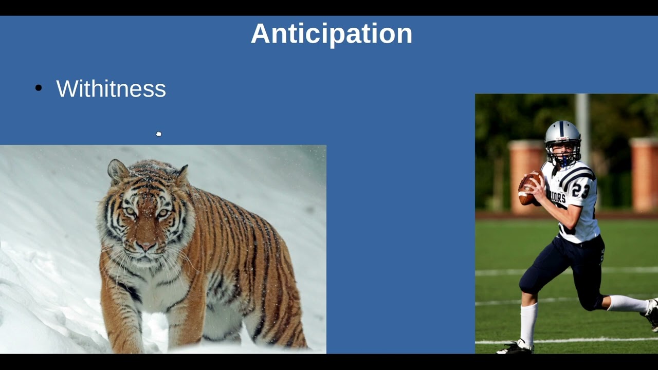 Classroom Management Ideas