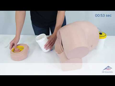 Xitoy ayol bilan jinsiy aloqa foto Jinsiy aloqa va hamma narsa (DVD)