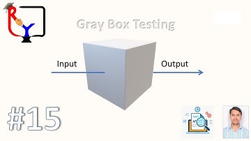 Manual Testing 15 | Gray boxTesting #manaualtesting #ryinsightlearninghub