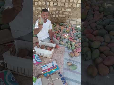 حرام عليكو وقفتو حال التصدير كان بيدخل عملة صعبة دولار للبلد