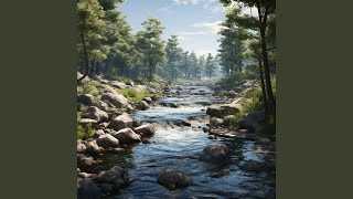 Focused Mindfulness in Gentle Stream's Echo