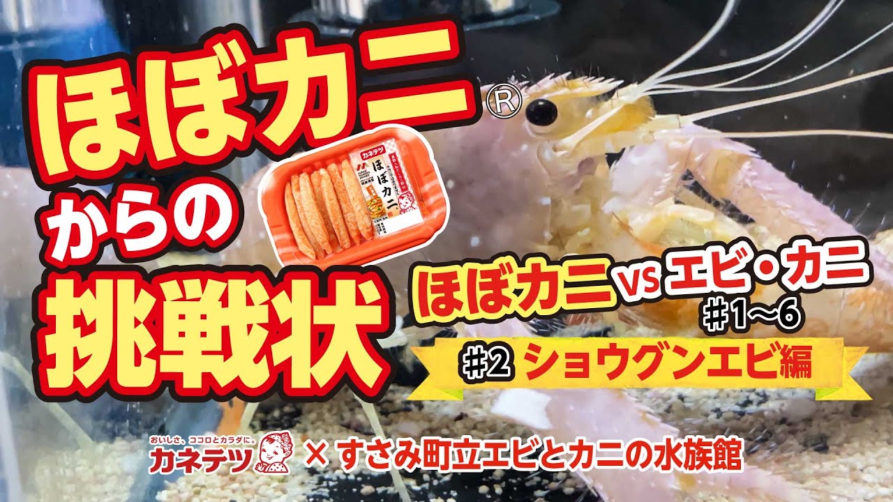 コラボ企画『ほぼカニからの挑戦状！』 | すさみ町立エビとカニの水族館