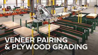 Robotic Veneer Pairing and Plywood Grading System