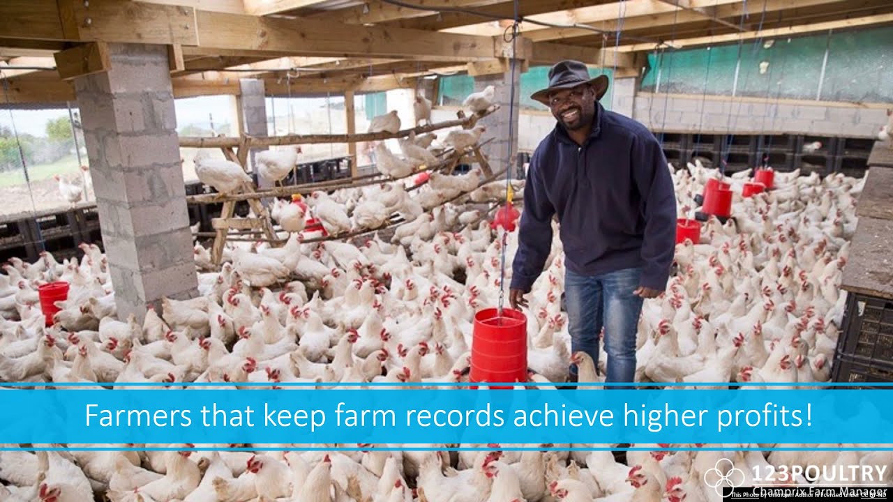 Benefits of record keeping for farmers🐔
