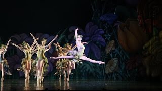 Celebrity Queensland Ballet's Peter Pan 2015 Net Worth