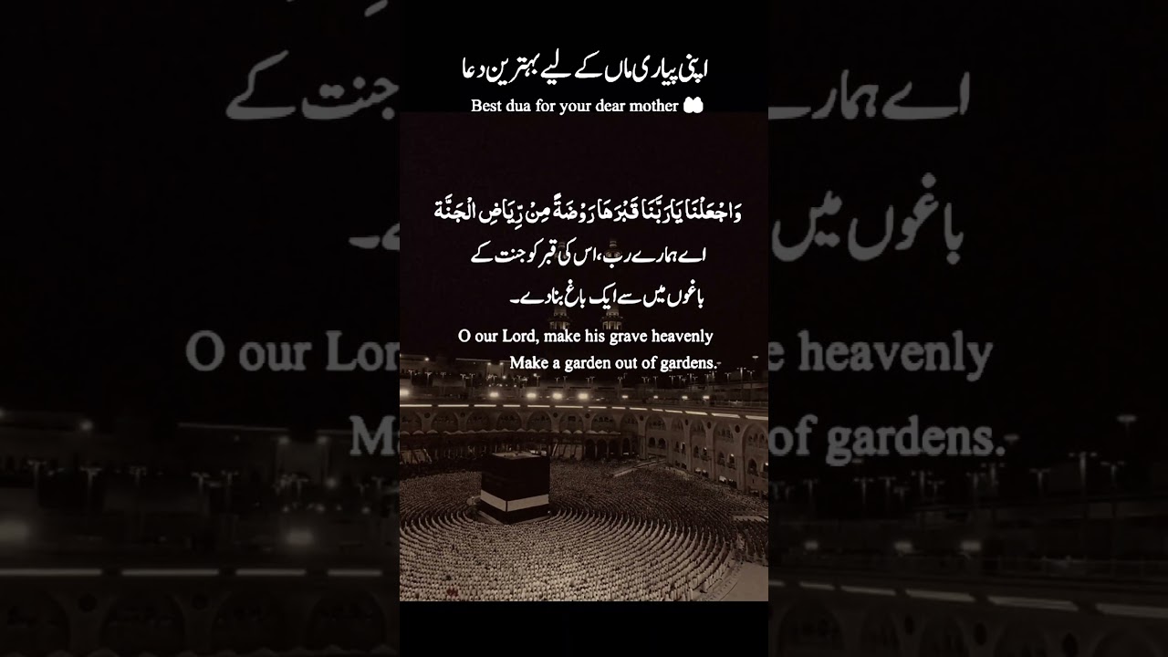 tilawat Quran Ami KY liay Dua , Quran status, tilawatyquranpak, today Quran recitation video, qirat