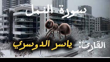 تلاوة مريحة للهداية والنور للمؤمنين☀️|سورة النمل 🐜 مع ياسر الدوسري|