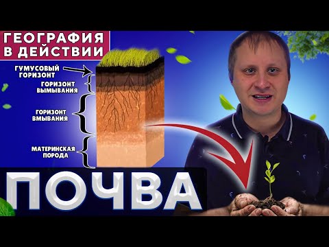 Почва  География в действии!