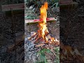 Cattail Torch: Survival Candle + Fire Starter in 1 #SurvivalSkills #bushcraft #wilderness