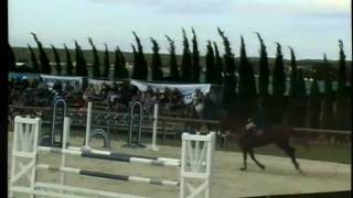 Caro cso avec Oxford 1m30.avi
