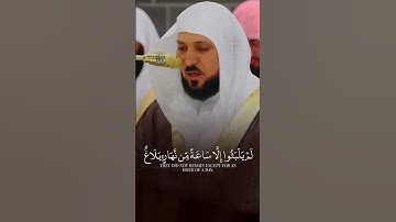 تلاوة فضيلة الشيخ د.⁧ #ماهر_المعيقلي من صلاة العشاء ٢٣ رمضان ١٤٤٦هـ. #لايك #اكسبلور #دويتو