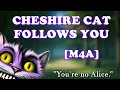 M4a asmr cheshire cat follows you audio roleplay