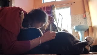 Happy Morning Fun With My Dog Shinchan His Cute & Angry Moments