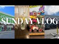 Sunday Vlog:Quick run to Trader Joe’s+Caribbean grocery store+ cooking dinner+Walmart run #kimnnadi