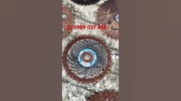 Lưỡi cắt cỏ tròn rin nhật đã cập bến 🐝