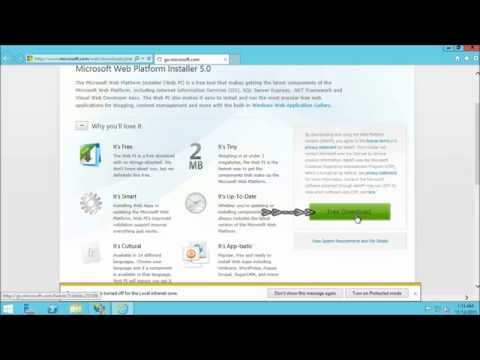 How to host a website on IIS 8 ( web server ) in VPS Server ( windows server 2012 )