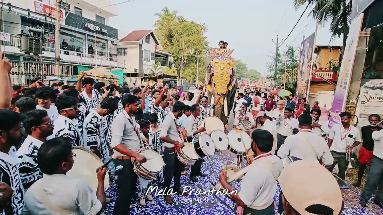 Maaghuyile pooghuyile Song  New Friends Nisari  2024