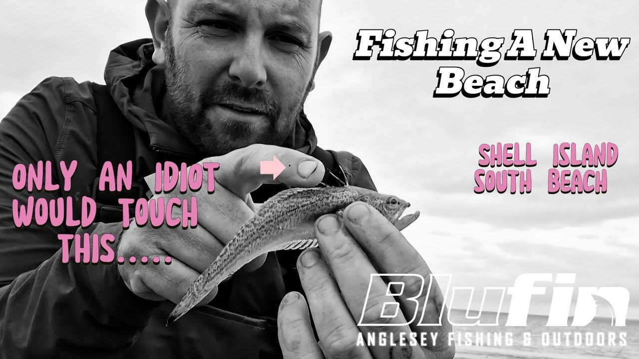 SOME COOL FISH ON THIS BEACH! ~ SHELL ISLAND ~ SOUTH BEACH ~ 