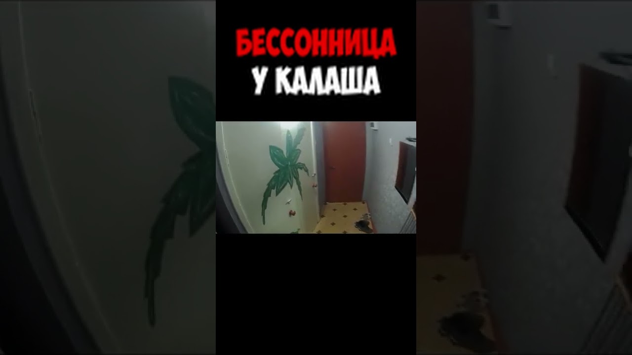 Бессонница у Калаша